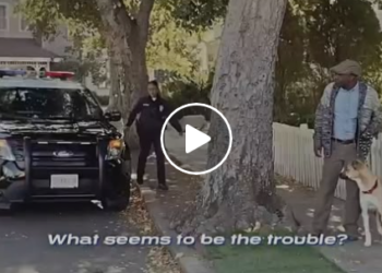 U0129010 Gender reveal party goes wrong! part 2