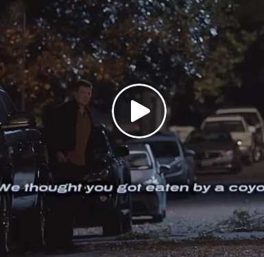 U0129016 Missing dog leads Nolan to situation part 2