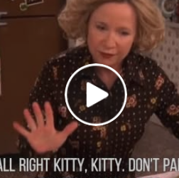 U0330011 Just good vibes and dumb jokes 😆✌️ Part 2 👉 #That70sShow