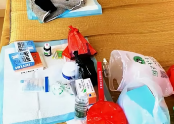 M2404001 The puppy was sick and was abandoned by its owner for treatment and thrown on the street to let it l  (Part 2)