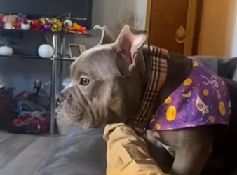 F2604002 What will you regret later? (Part 2)