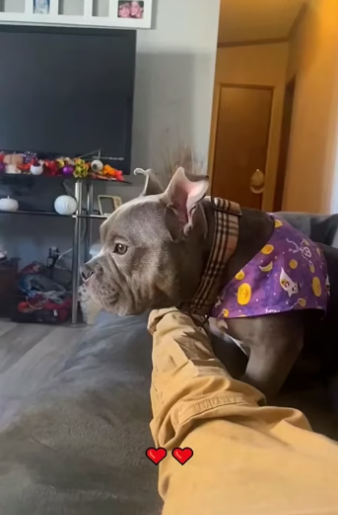 F2604002 What will you regret later? (Part 2)