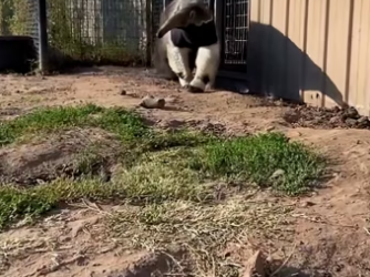 F2604004 What truly matters in the end? (Part 2)