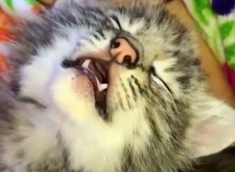 F2604006 What choice are you making? (Part 2)