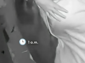 H2604001 What Sleeping With A Cat Is Actually Like (Part 2)