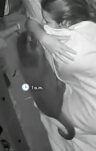 H2604001 What Sleeping With A Cat Is Actually Like (Part 2)