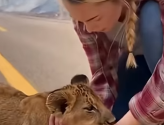 D0804003 Moment of Hope (Part 2)