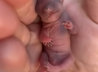 D2604006 Life vs luxury — which matters? (Part 2)