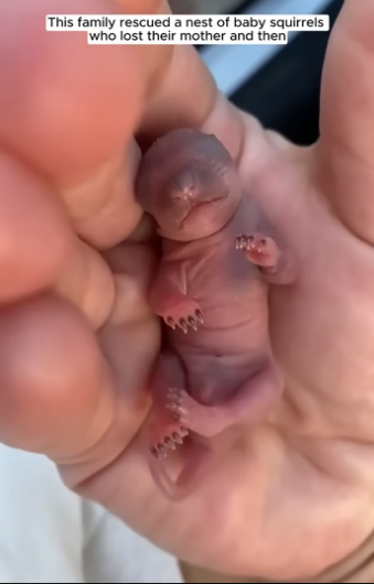 D2604006 Life vs luxury — which matters? (Part 2)