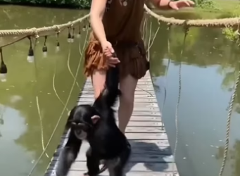 D2604007 Action vs excuse — which defines you? (Part 2)