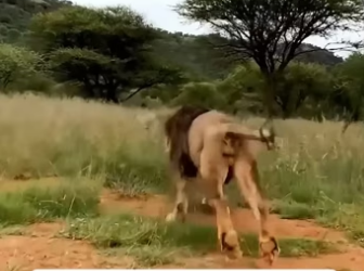 D2604009 Courage vs fear — which leads? (Part 2)