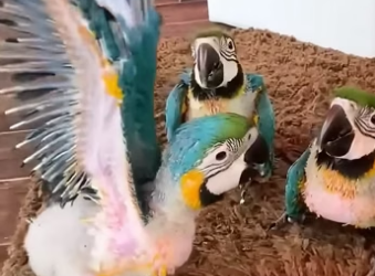 D2604012 You feel it… will you help? (Part 2)