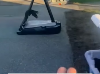 E2604004 You must… will you? (Part 2)