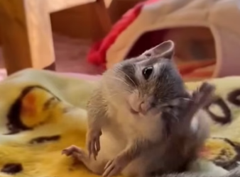 E2604006 You have the power… will you use it? (Part 2)