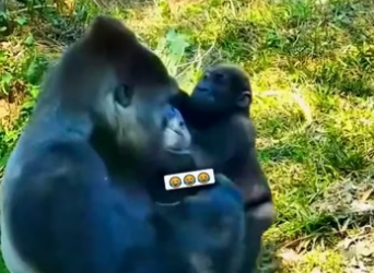 F2604007 If not you… then who? (Part 2)