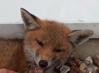 F2604009 If you can help… why not? (Part 2)