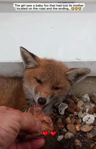 F2604009 If you can help… why not? (Part 2)