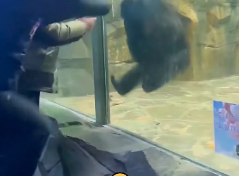 F2604010 If you care… prove it. (Part 2)