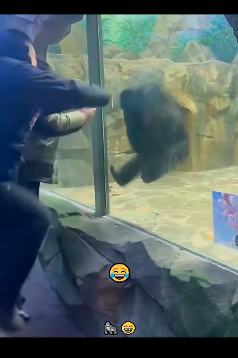 F2604010 If you care… prove it. (Part 2)