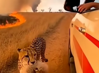 Z2604007 This is your responsibility — own it. (Part 2)