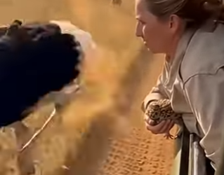 D0804004 Mom is a true hero (Part 2)