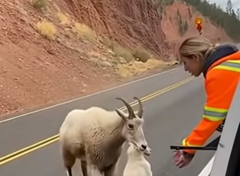 Z2604009 This is your opportunity — don’t waste it. (Part 2)