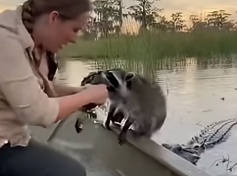 Z2604010 This is your call — answer it. (Part 2)