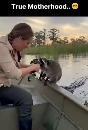 Z2604010 This is your call — answer it. (Part 2)