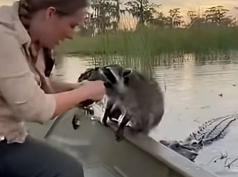 Z2604010 This is your call — answer it. (Part 2)