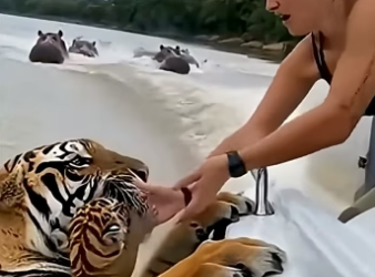 Z2604011 This is your test — pass it. (Part 2)