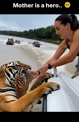 Z2604011 This is your test — pass it. (Part 2)