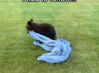 Q2604007 He helped his mom! (Part 2)