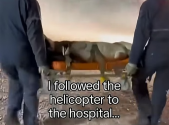 Q2604012 Her baby saved her life (Part 2)