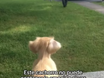O2604004 Los animales son tan puros (Part 2)