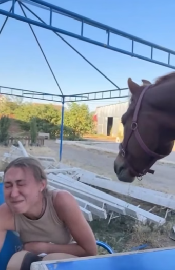 O2604005 Como no amar a los animales (Part 2)