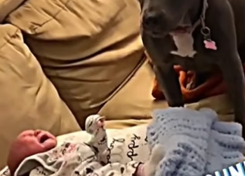 D0904003 And this is why we never stop (Part 2)