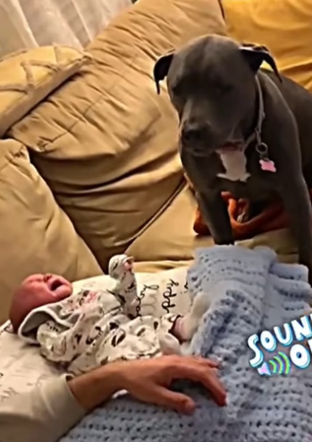 D0904003 And this is why we never stop (Part 2)