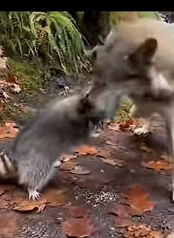 Z2804001  Why wait when you can help now? (Part 2)