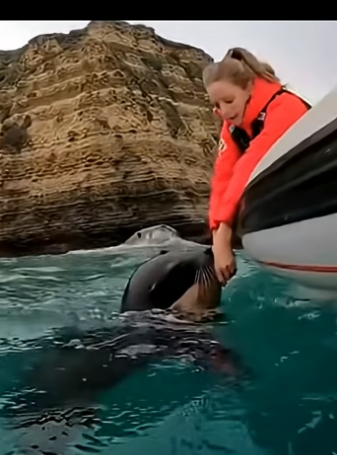 Z2804002 What’s stopping you from saving a life? (Part 2)