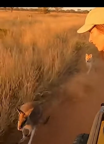 Z2804003 What matters more right now? (Part 2)