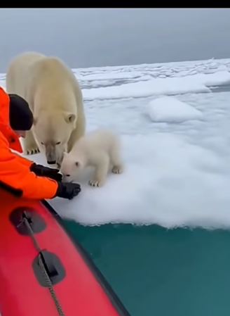 Z2804004 What are you choosing today? (Part 2)