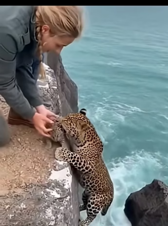 Z2804005 What defines you — this moment? (Part 2)