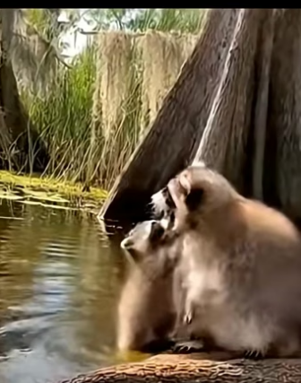 Z2804006 What will you regret later? (Part 2)