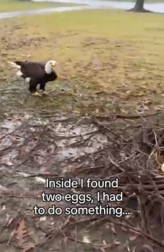 Q2804004 This is your moment — use it. (Part 2)