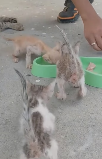 E2604012 What are you choosing today? (Part 1)