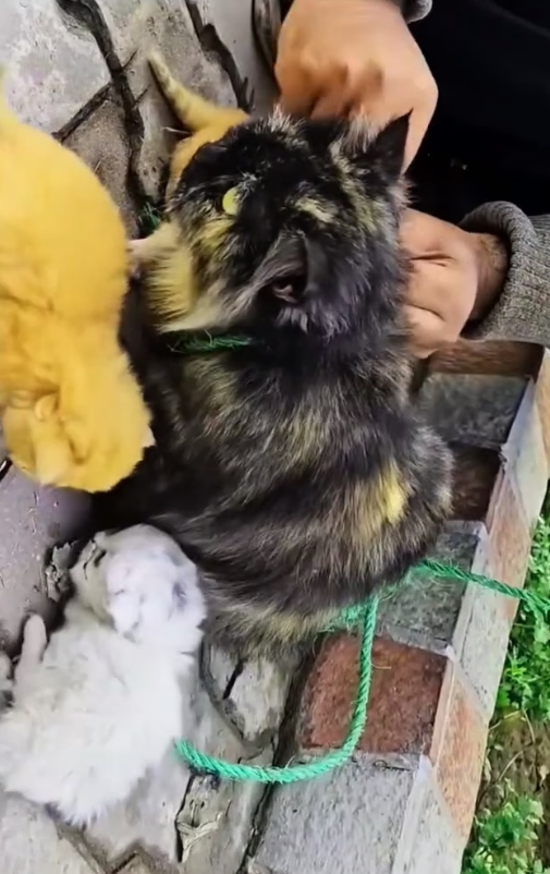 E2804003 Choose to act. (Part 2)