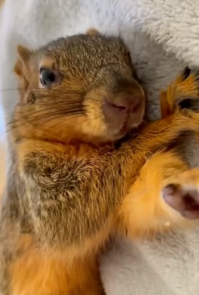 E2804005 Choose to change. (Part 2)