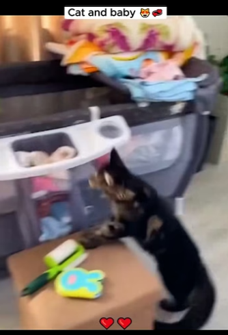 F2604012 If you feel it… do something. (Part 2)