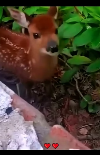 F2804001 Everything depends on you. (Part 2)