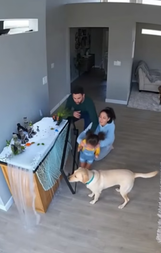 J2804003 Dogs are heroes (Part 2)